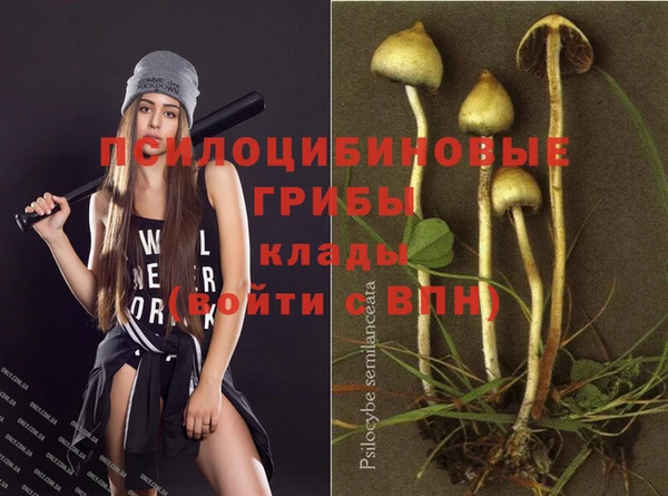 мескалин Аркадак